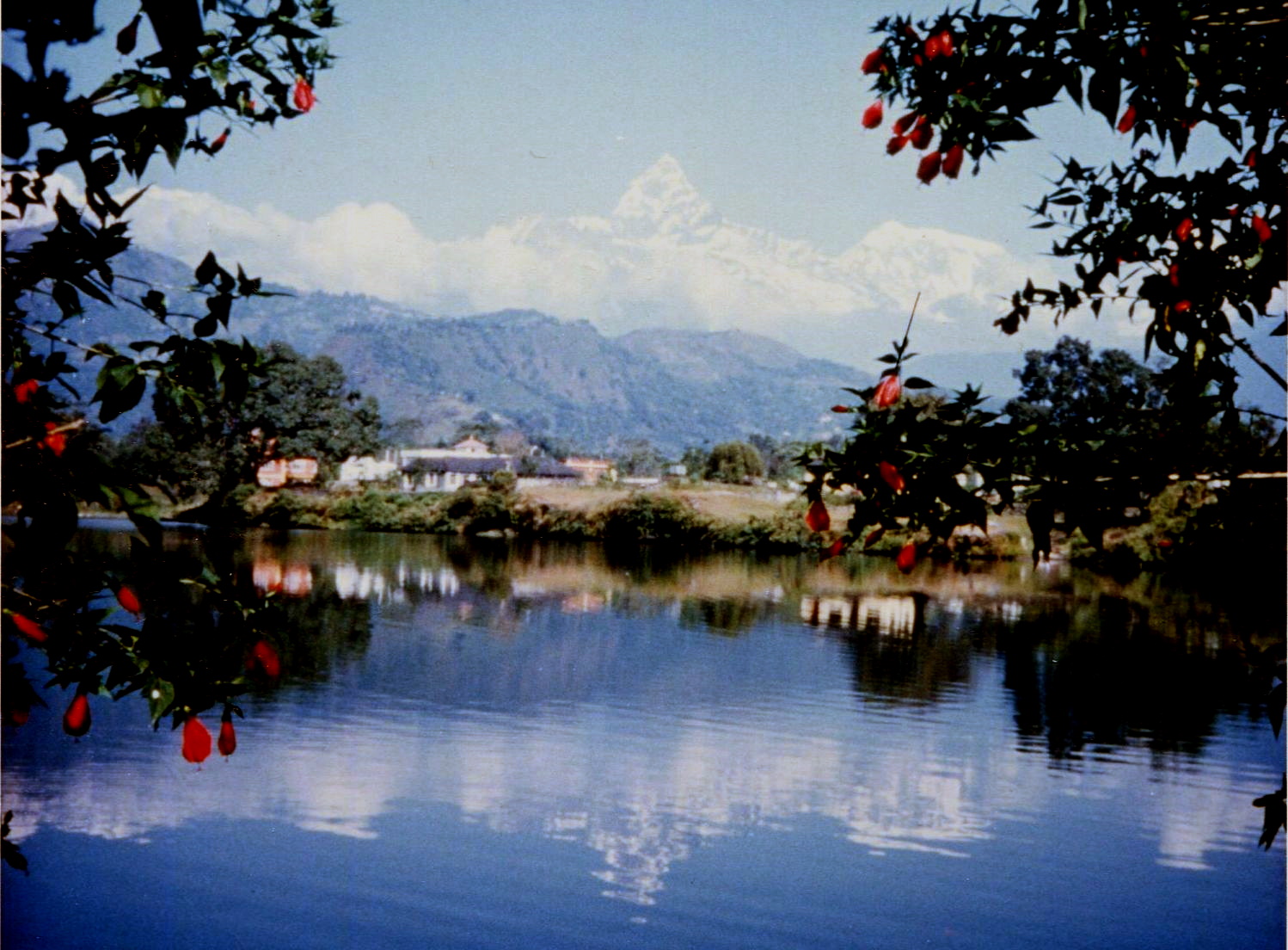 Mount Macchapucchre ( The Fishtail Mountain ) from Phewa Tal at Pokhara in Nepal