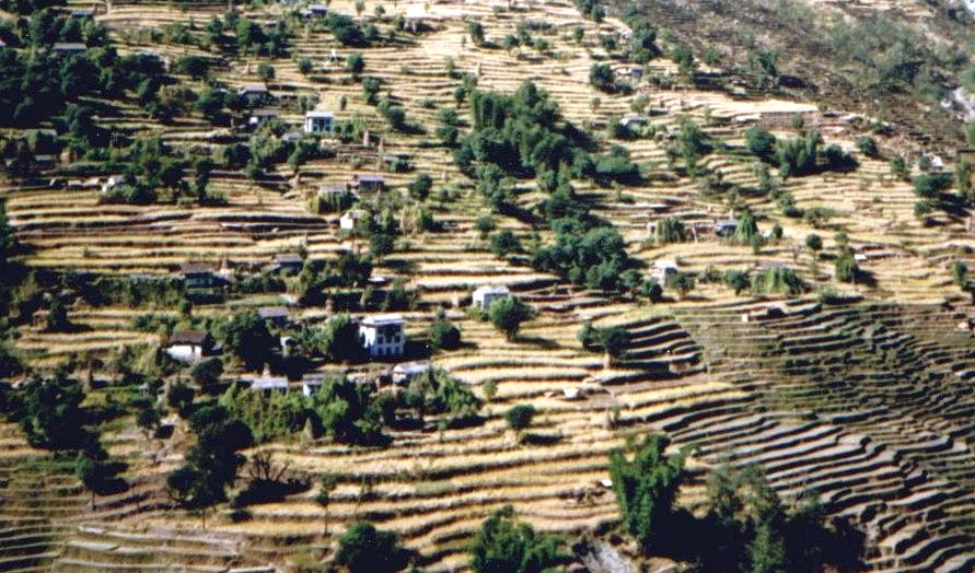 Terraced Hillsides around Bung