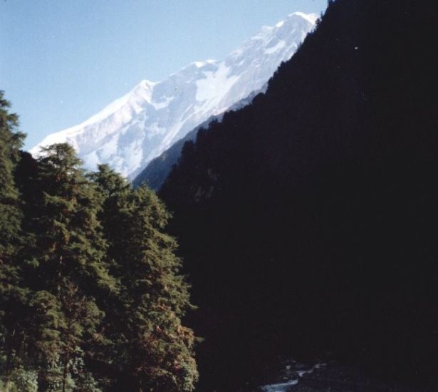 Dhaulagiri from Upper Myagdi Khola Valley on approach to Italian Base Camp