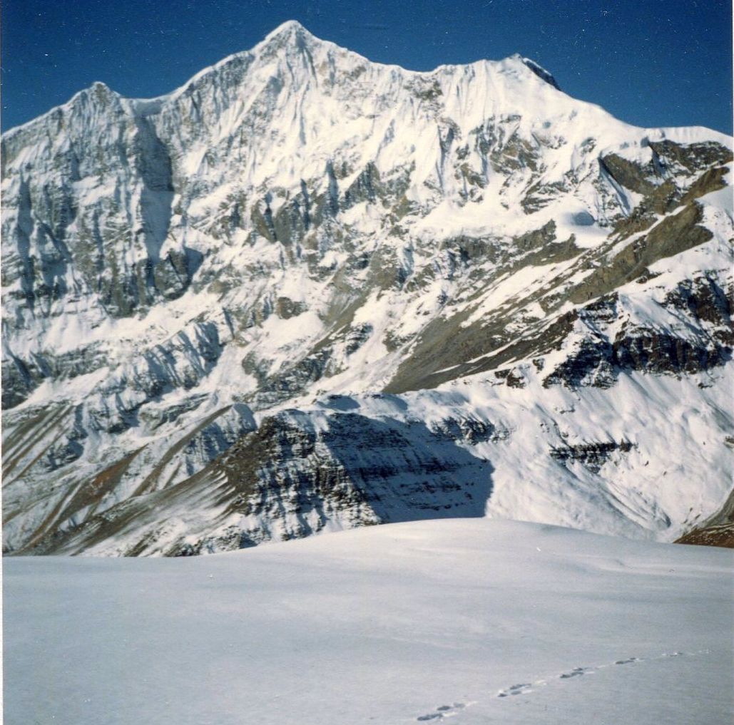 Tukuche Peak from Thapa Peak
