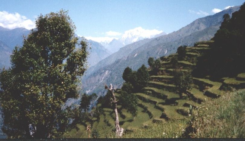 Shringi Himal on descent to the Buri Gandaki