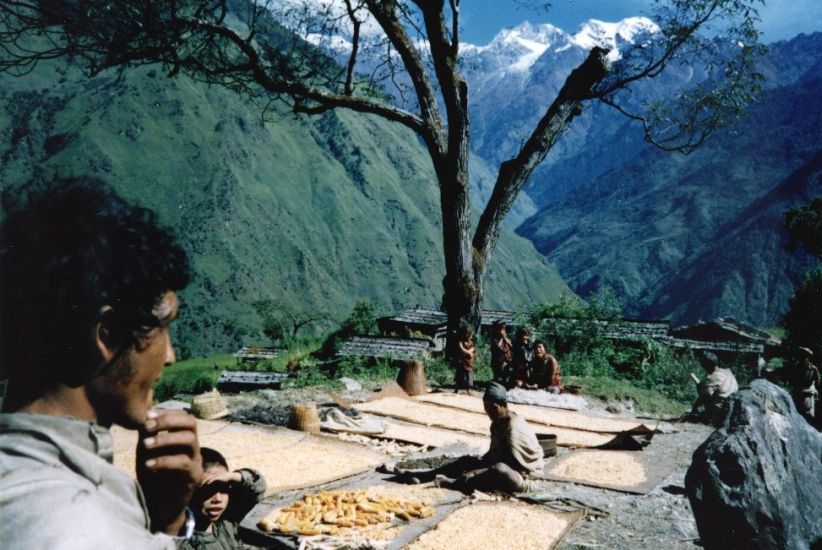 Nepalese drying corn at Shertung Village in the Ganesh Himal region