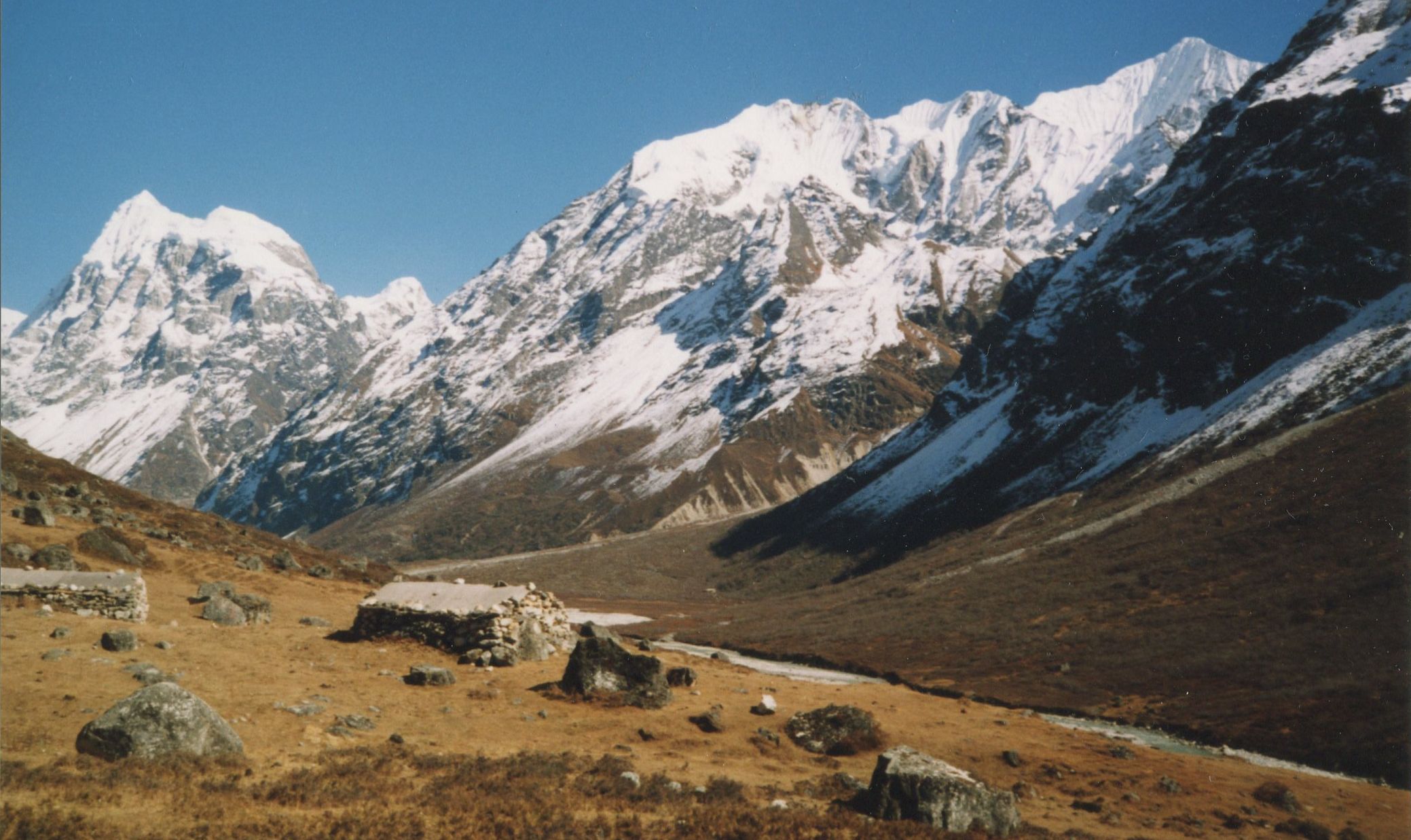 Langshisa Ri ( 6427m ) and Ganshempo from the Langtang Khola