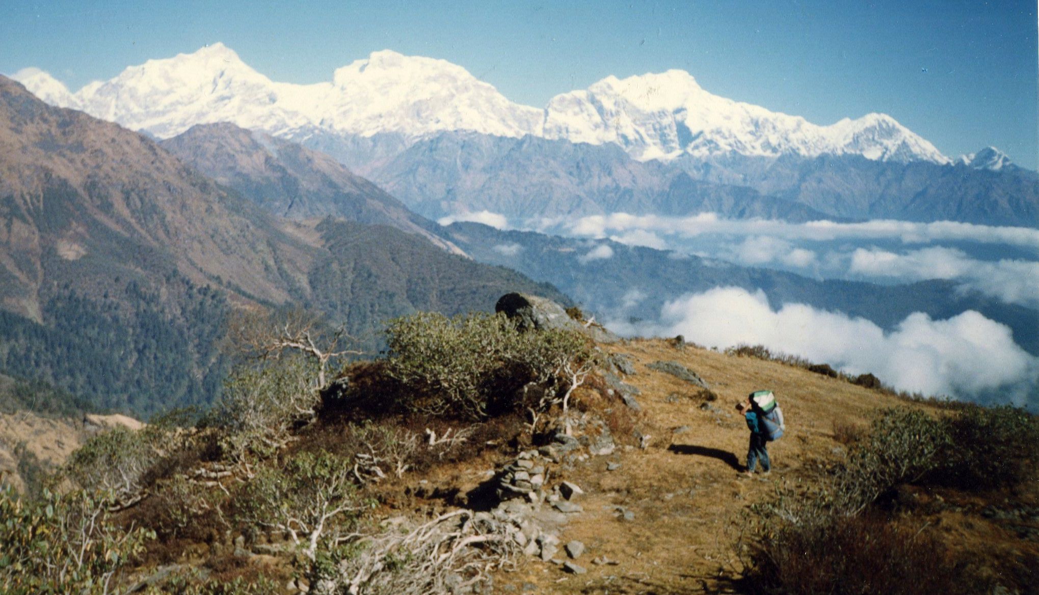 The Manaslu Himal from Talbrung Danda