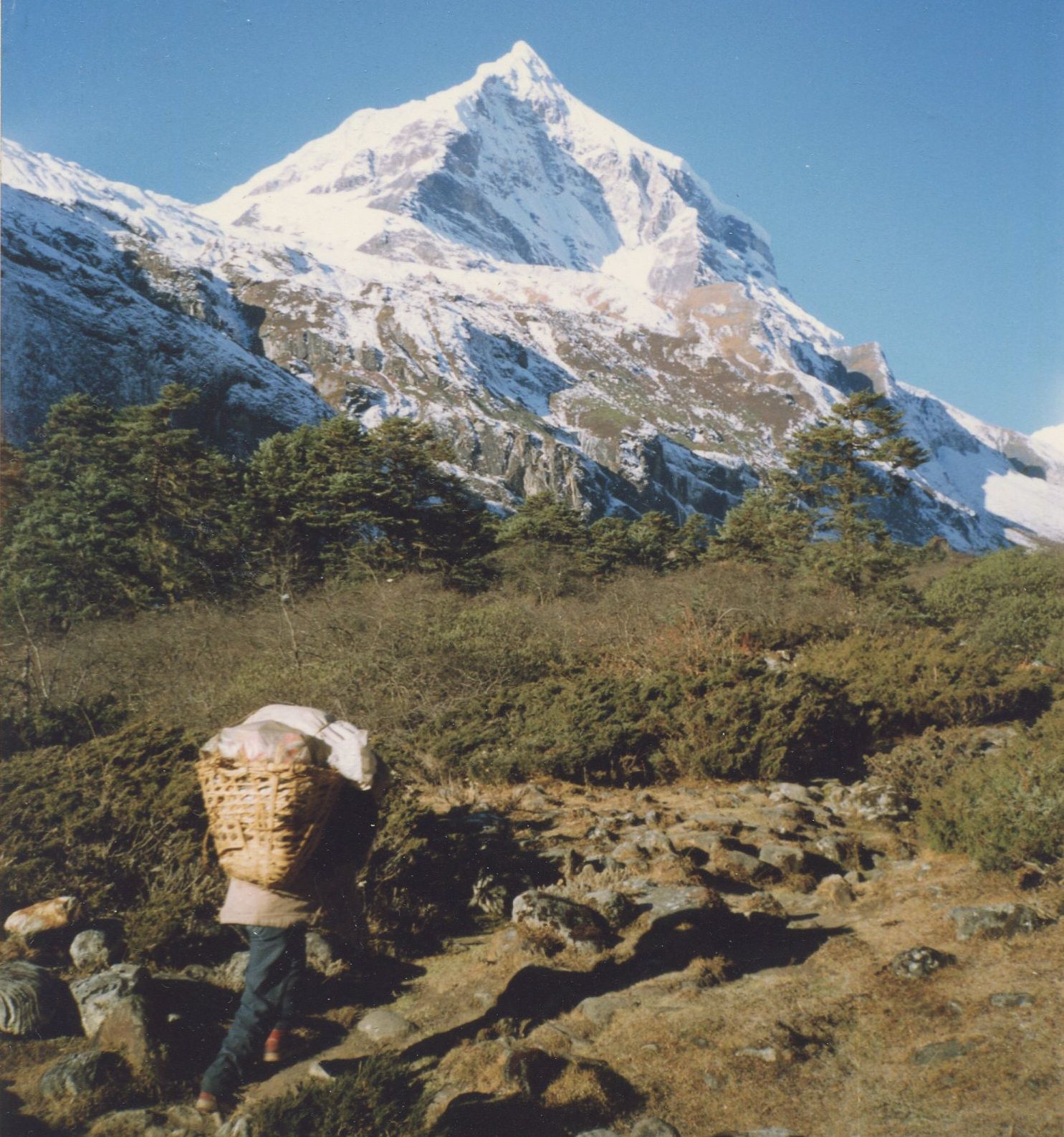 Peak 7 ( 6105 metres ) in the Barun Valley