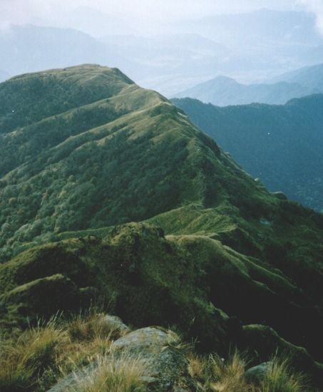 Ridge from Kumai and Macchapucchre Base Camp