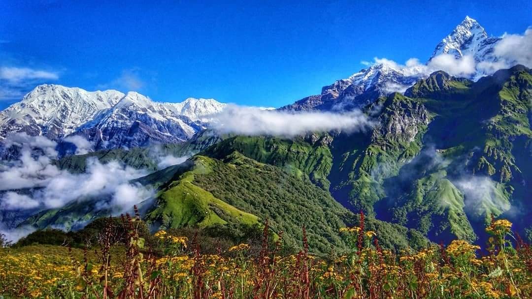 Annapurna South , Hiunchuli and Mardi Himal & Macchapucchre