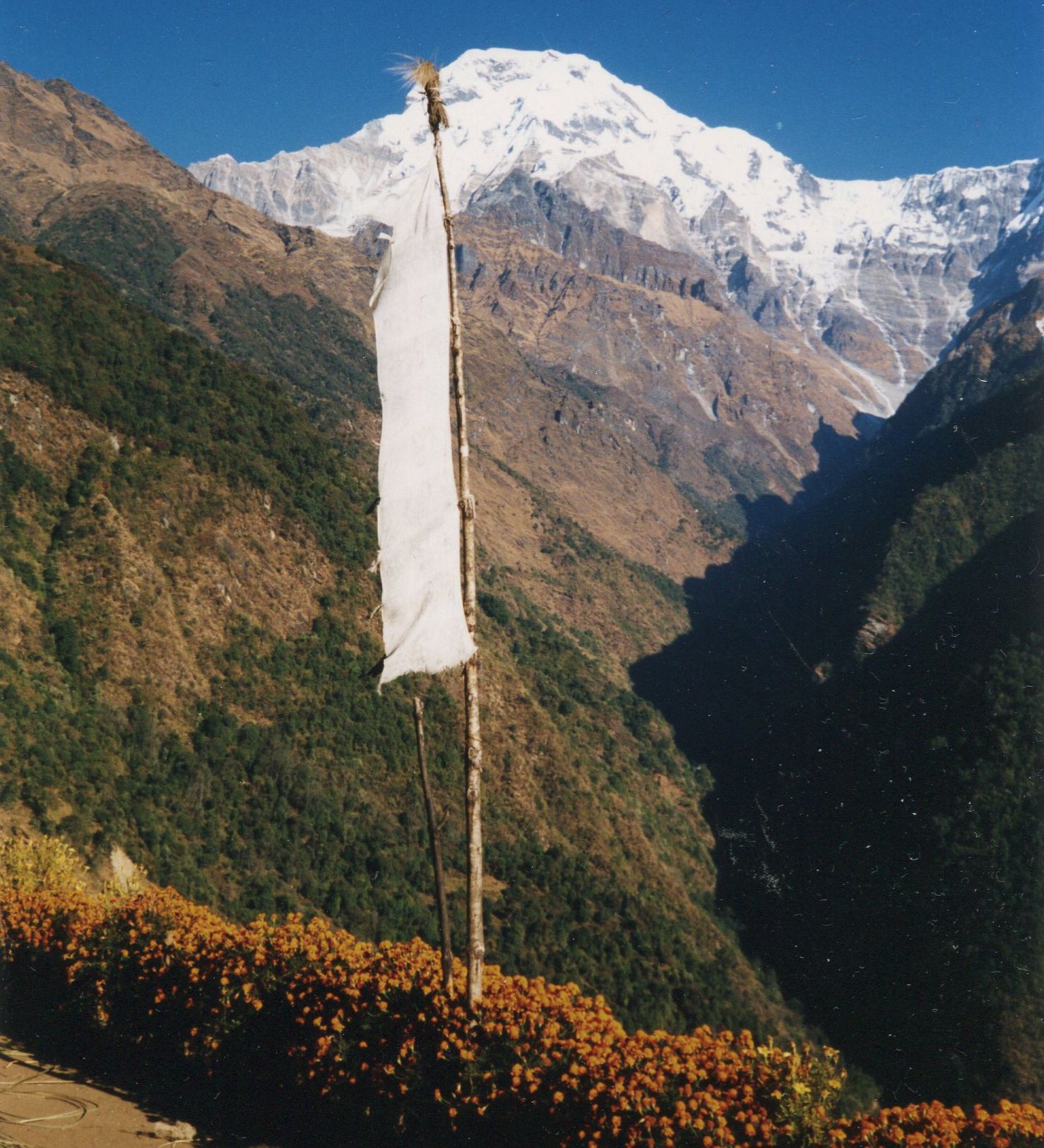 Annapurna South and Hiunchuli from Chomrong