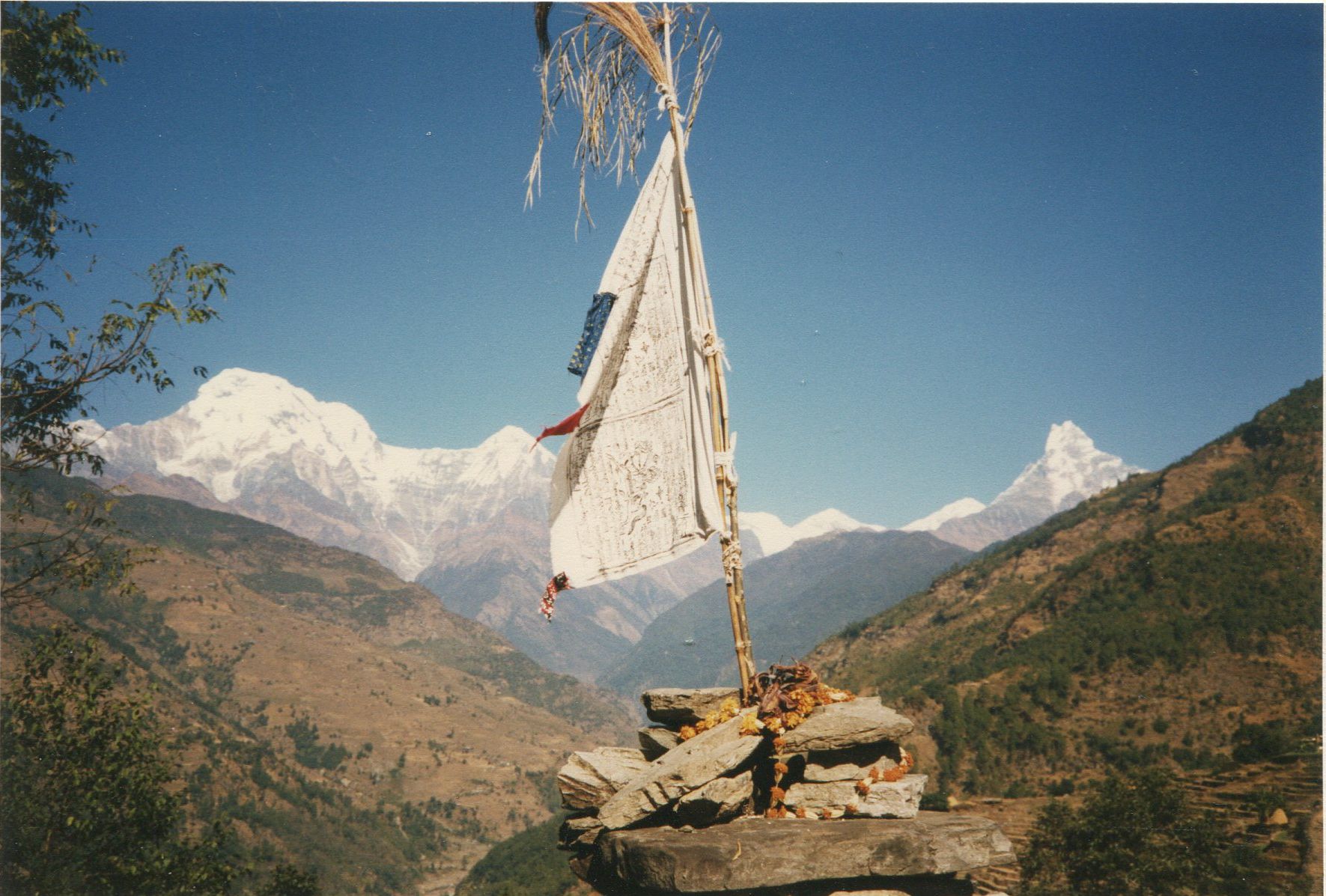 Annapurna South Peak ( 7219m ) , Hiunchuli ( 6441m ) and Macchapucchre on route to Chomrong