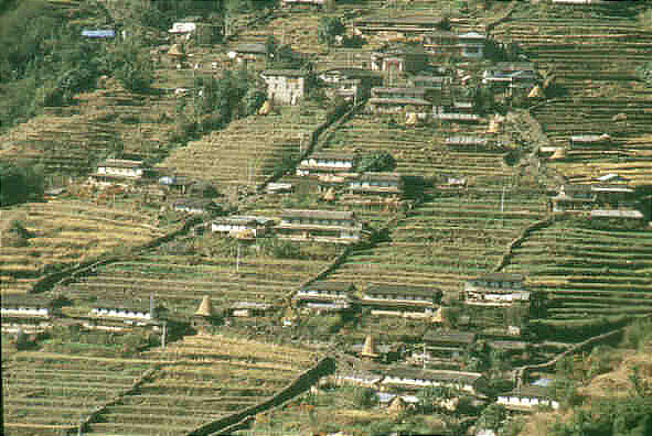 Terraces at Chomrong Village on route to the Annapurna Sanctuary
