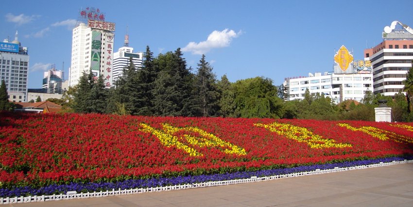 Floral Decorations in Kunming