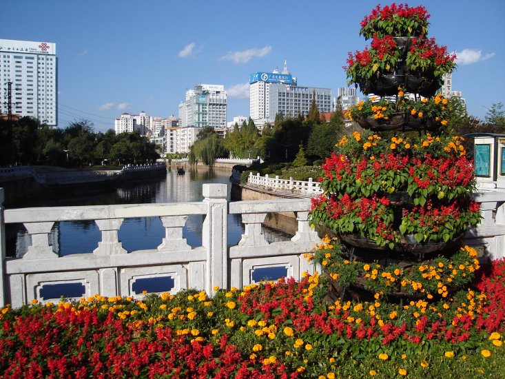 Floral Decorations in Kunming