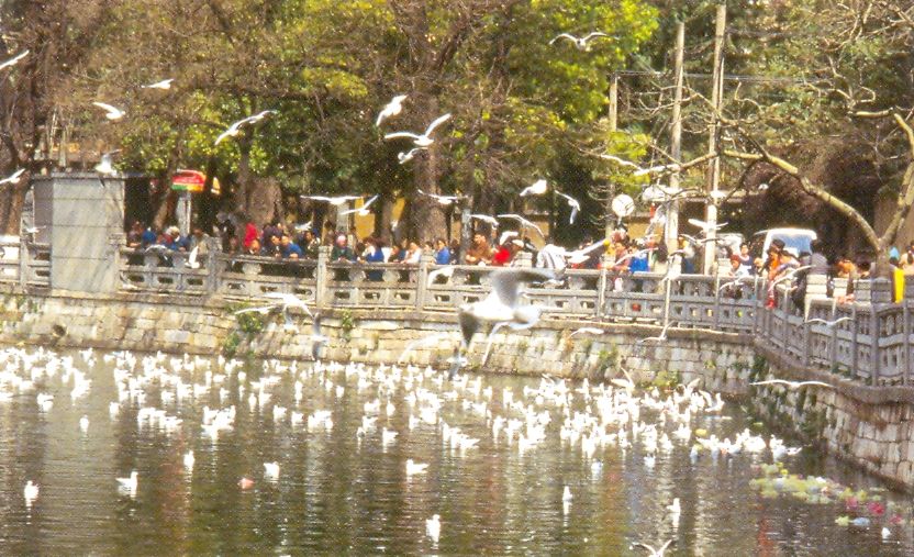 Green Lakes Park in Kunming