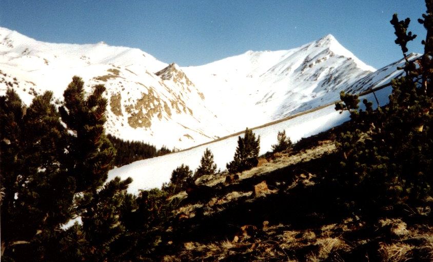 On the lower slopes of Mt.Elbert in the Colorado Rocky Mountains