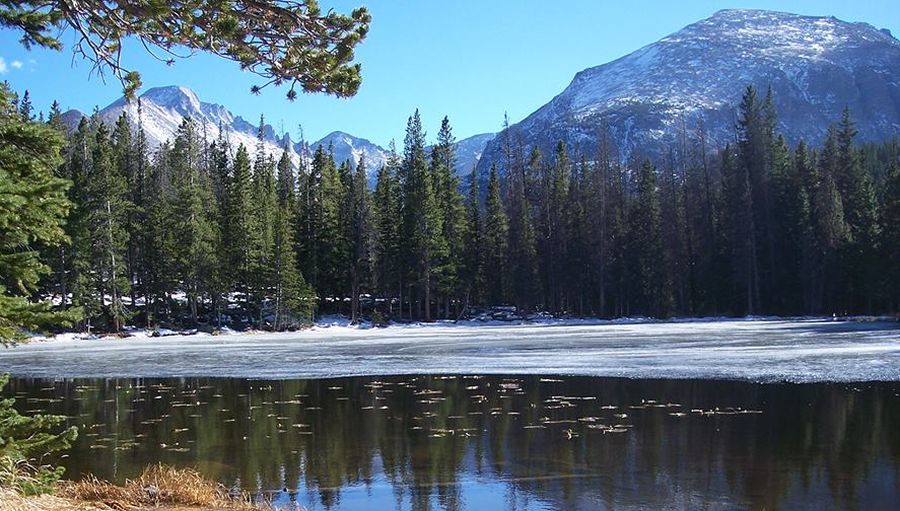 Nymph Lake in Rocky Mountain National Park