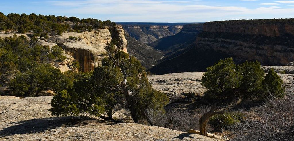 Navajo Canyon at Mesa Verde