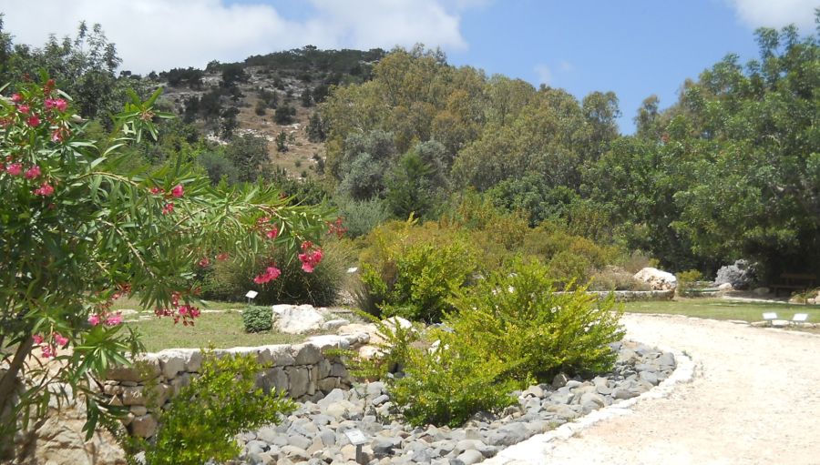 Botanic Gardens at the Baths of Aphrodite in the Akamas Peninsula of Western Cyprus