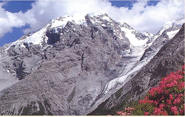 Ortler from the North