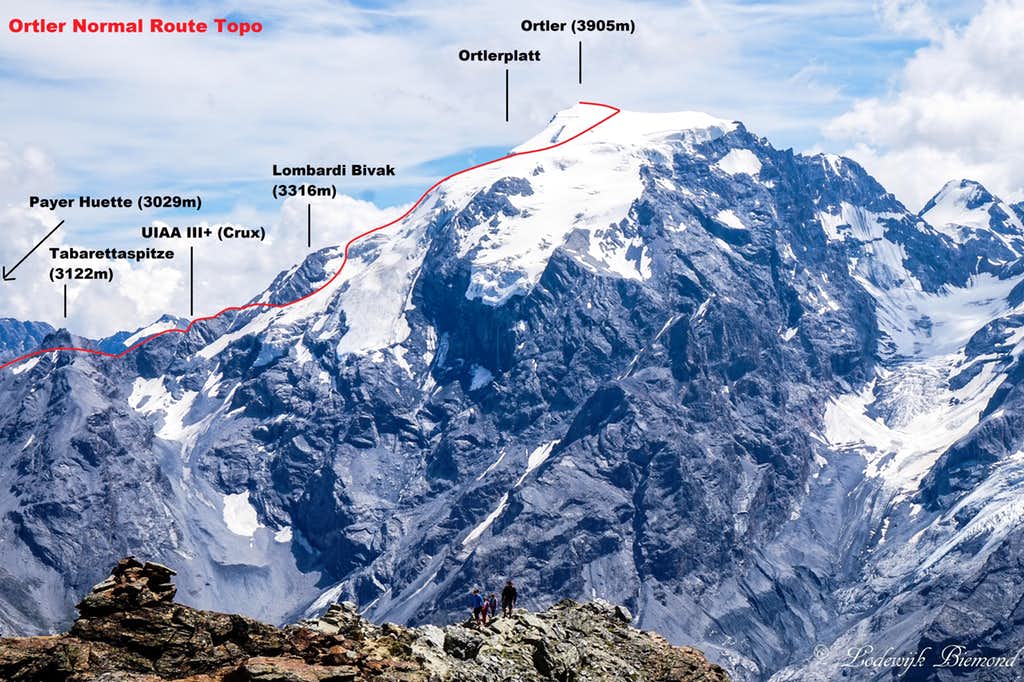 The Ortler / Cima Ortles - ascent route