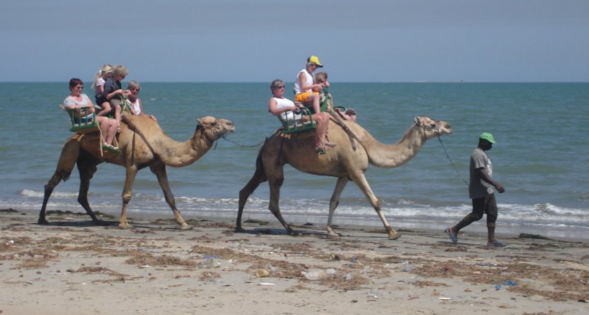 Camel Rides on Beach at Tenji