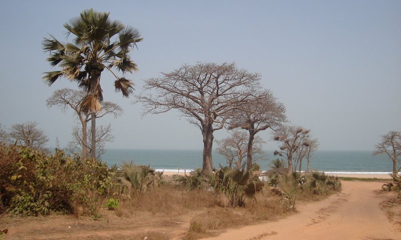 Brufut Beach on the Atlantic coast of The Gambia in West Africa