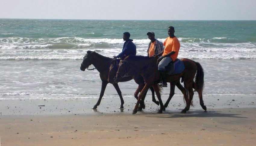 Pony Rides on the Atlantic ( Kombo ) coast beach