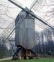 Freilichtmuseum_windmill.jpg