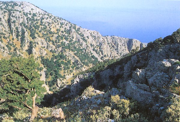 Imvros / Imbros Gorge on Greek Island of Crete