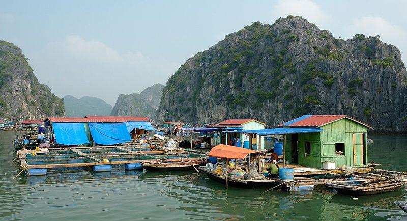 Floating Village in Halong Bay in Northern Vietnam