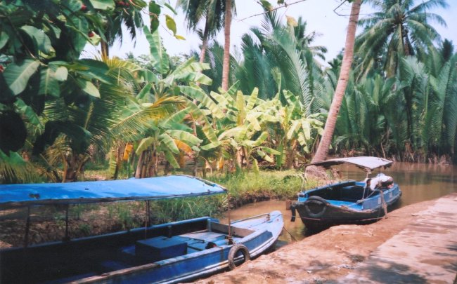 Boats in narrow waterway of Mekong Delta