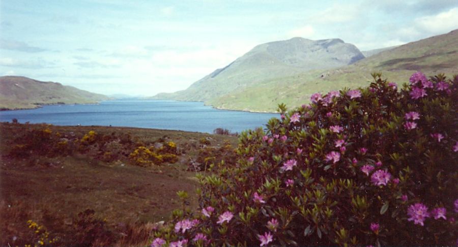 Sea Loch on the West Coast of Ireland