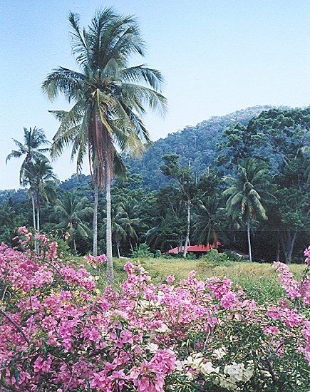 Pasir Bogak on Pulau Pangkor