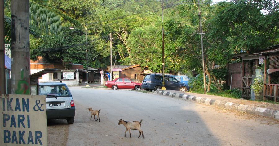 Cherating Village on East Coast of Peninsular Malaysia