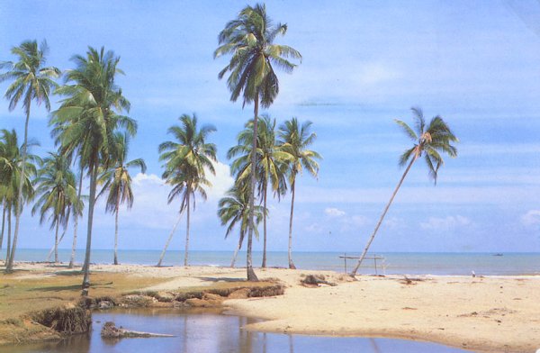 Pantai Irama near Kota Bharu