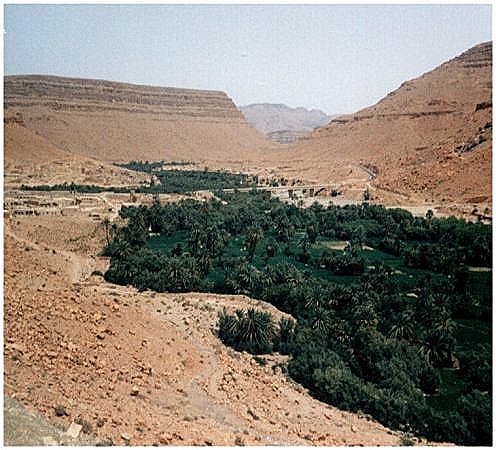 Ziz Valley in the sub-sahara