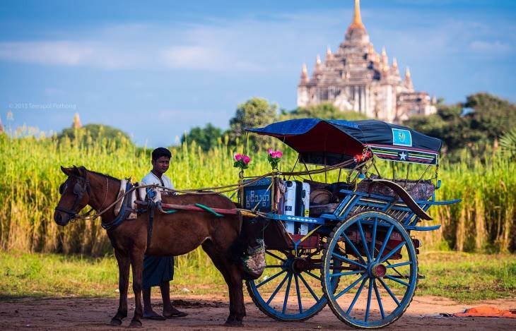 Horse Cart and temples of Bagan