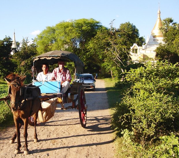 Horse Cart at Inwa near Mandalay in northern Myanmar / Burma