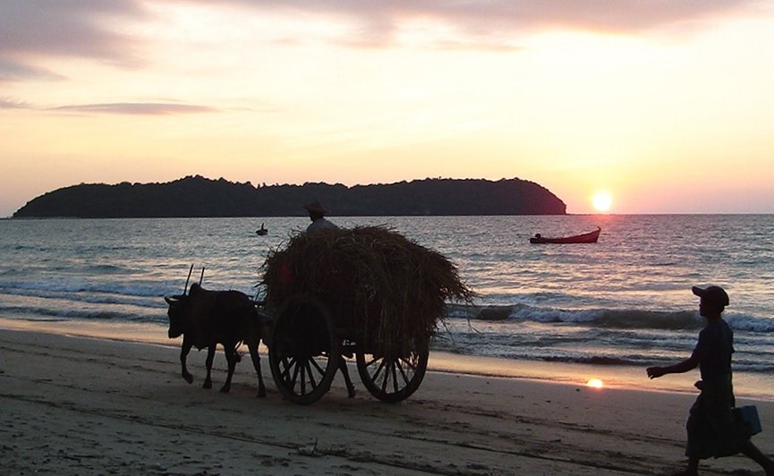 Bullock / Ox Cart on Ngapali Beach at sunset