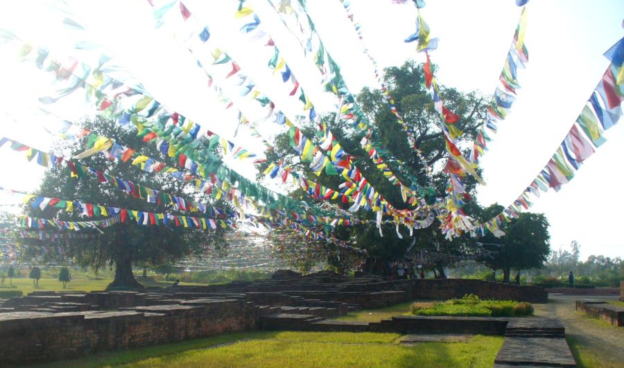 Prayer Flags in Garden at Lumbini