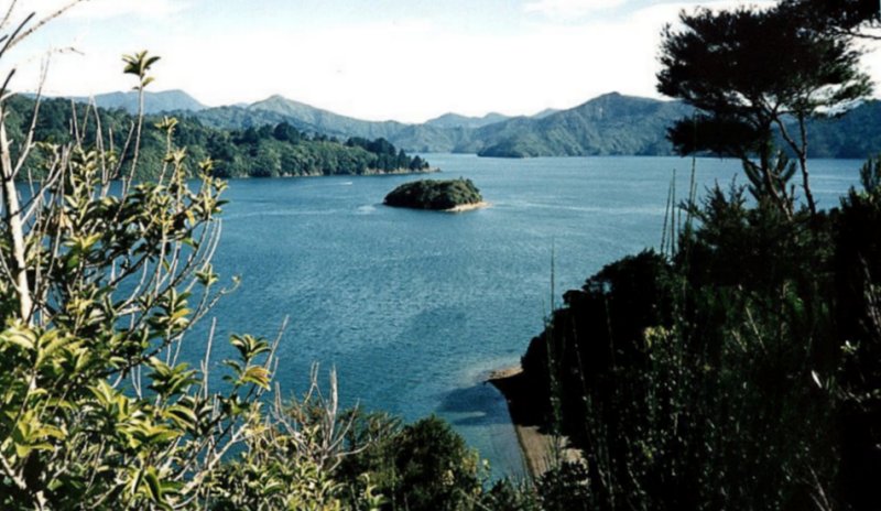 Marlborough Sounds from Picton in the South Island of New Zealand