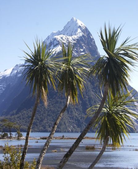 Mitre Peak in Milford Sound in South Island of New Zealand