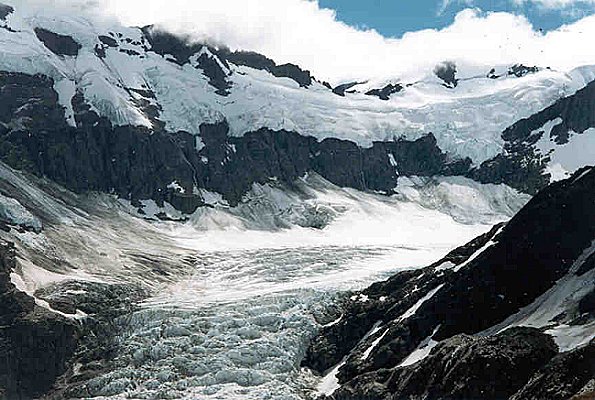 Dart Glacier in the Southern Alps of the South Island of New Zealand