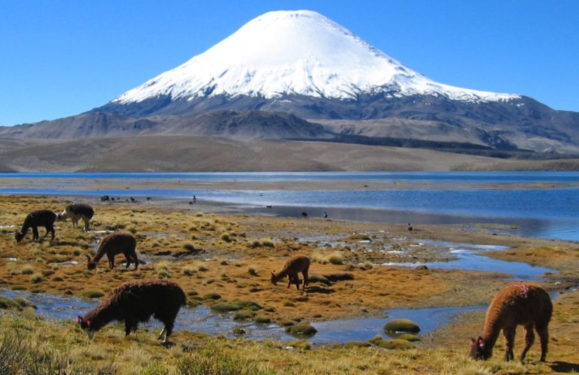 Parinacota volcano in Chile