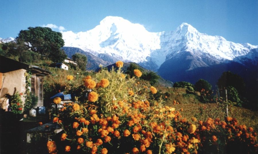 Annapurna South Peak and Hiunchuli from Gandrung Village