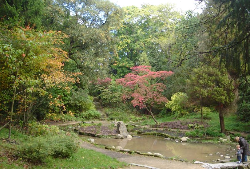 The Japanese Gardens in Dalzell Estate