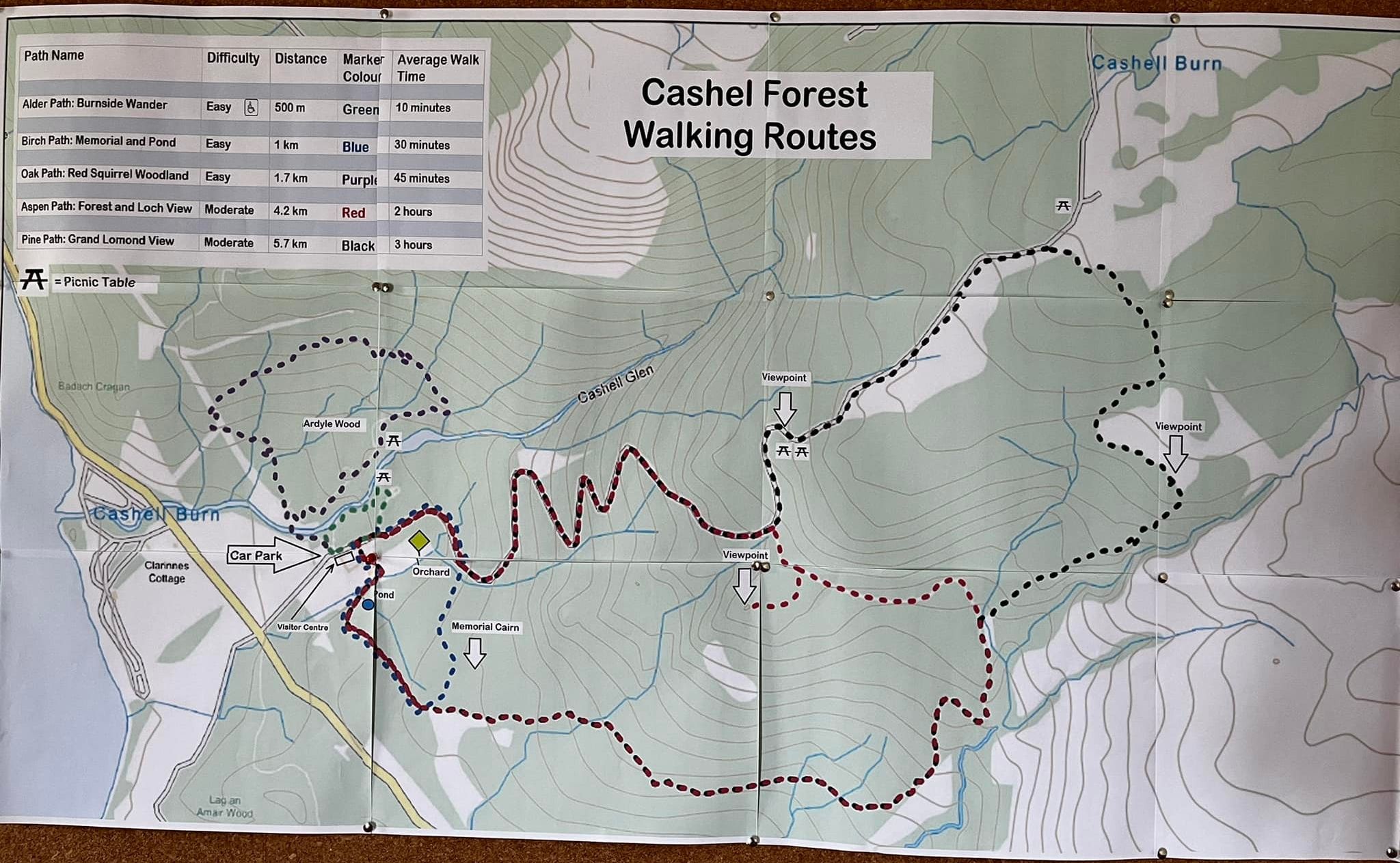 Routes Map of Cashel Forest