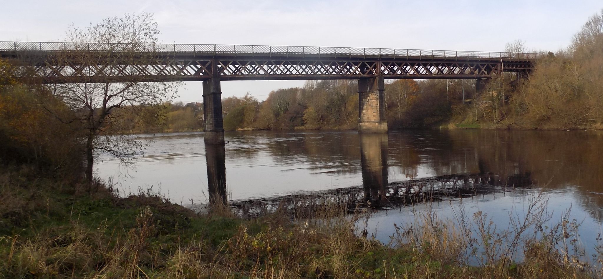 Westburn Viaduct over the River Clyde at Carmyle