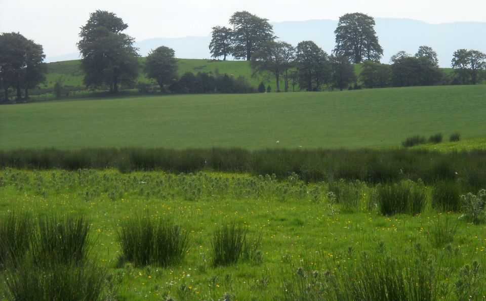 Fields alongside the track to Boturich estate
