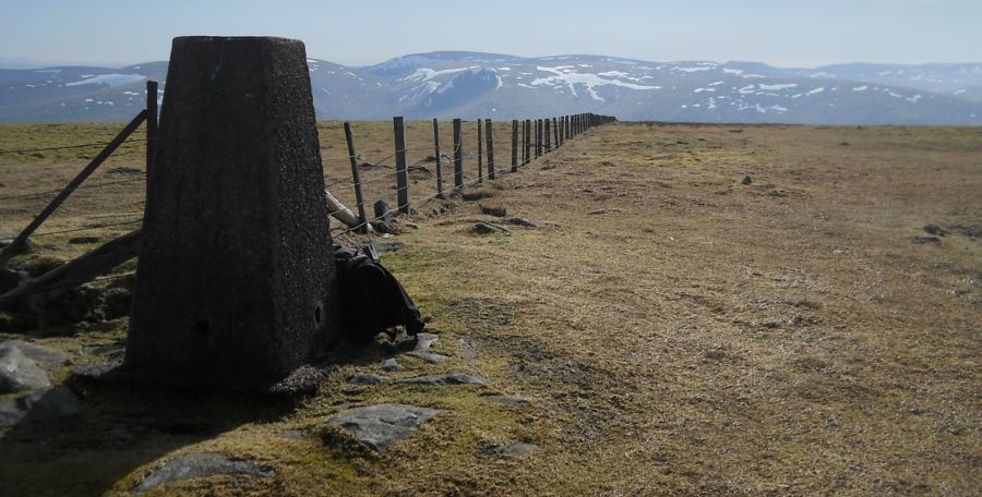 Trig Point on summit of Broad Law