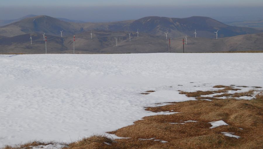 Wind Farm from the summit of Broad Law